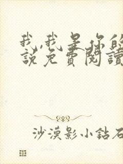 我,我是你的小说免费阅读全文封面