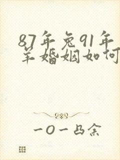 87年兔91年羊婚姻如何呢封面