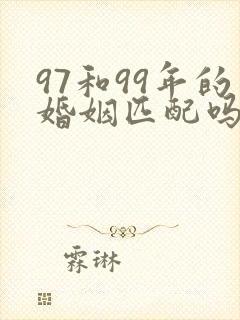 97和99年的婚姻匹配吗封面