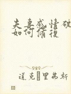 夫妻感情破裂后如何修复封面