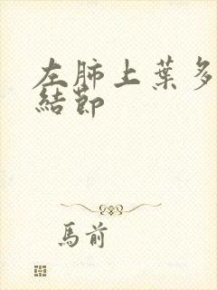 左肺上叶多发微结节