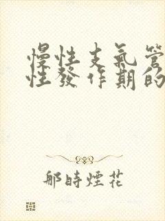 慢性支气管炎急性发作期的主要治疗措施是