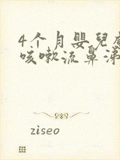 4个月婴儿感冒咳嗽流鼻涕怎么办