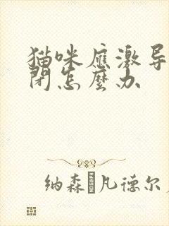 猫咪应激导致尿闭怎么办