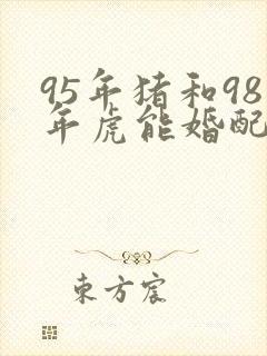 95年猪和98年虎能婚配吗