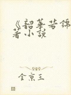 《韶华若锦》原著小说