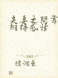 夫妻之间靠什么维持感情