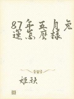 87年五月兔命运怎么样