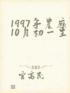 1997年农历10月初一生人命运怎么样