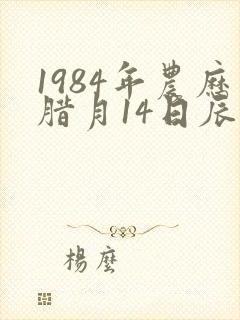 1984年农历腊月14日辰时生的命运