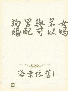 狗男与羊女属相婚配可以吗封面