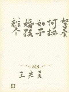 离婚如何拿到两个孩子抚养权