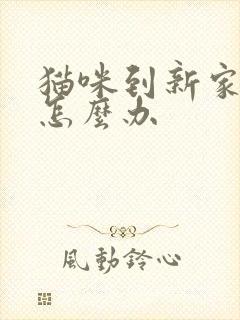 猫咪到新家乱尿怎么办