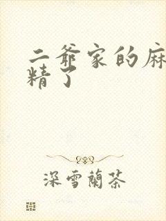 二爷家的麻雀成精了封面