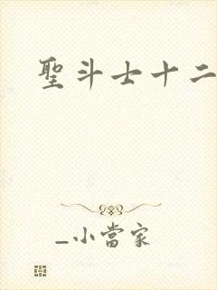 圣斗士十二星