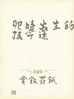 卯时出生的猪男孩命运