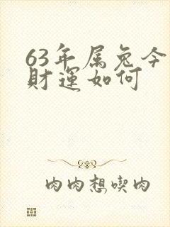 63年属兔今日财运如何
