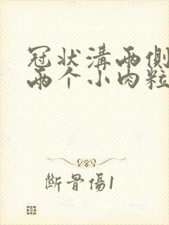 冠状沟两侧长了两个小肉粒