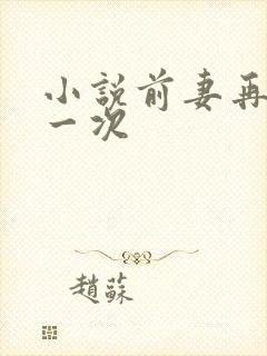 小说前妻再嫁我一次