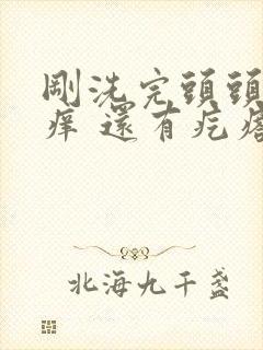 刚洗完头头皮就痒 还有疙瘩