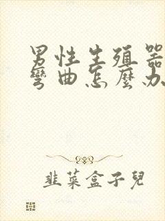 男性生殖器向下弯曲怎么办