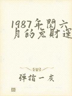 1987年闰六月的兔财运怎样