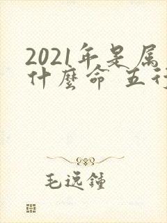 2021年是属什么命 五行属什么