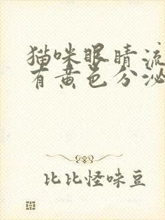 猫咪眼睛流眼泪有黄色分泌物