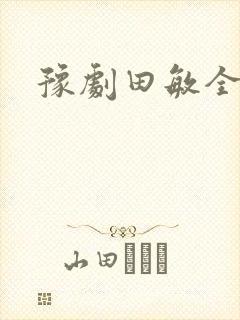 豫剧田敏全场戏