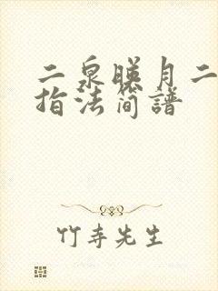 二泉映月二胡弓指法简谱