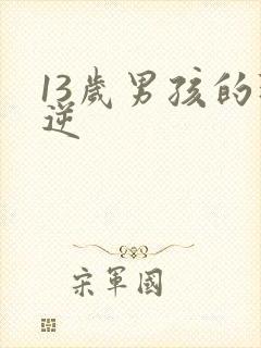 13岁男孩的叛逆封面