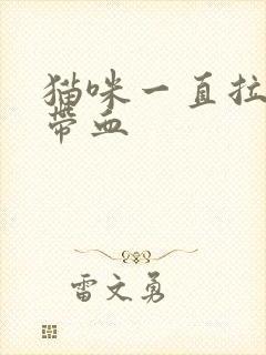 猫咪一直拉尿还带血封面