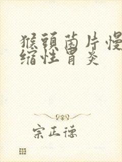 猴头菌片慢性萎缩性胃炎封面