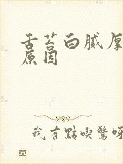 舌苔白腻厚什么原因