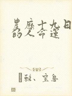 农历十九日出生的人命运封面