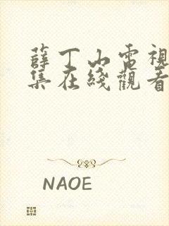 薛丁山电视剧全集在线观看