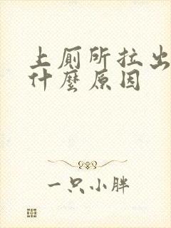 上厕所拉出血是什么原因