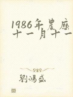 1986年农历十一月十一出生的人命运如何