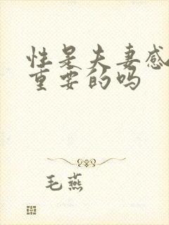 性是夫妻感情最重要的吗