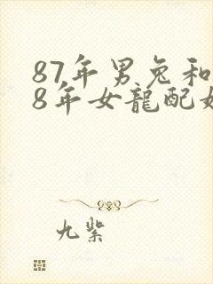 87年男兔和88年女龙配婚姻好不好