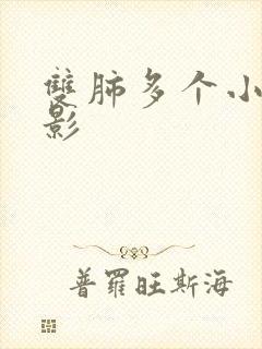 双肺多个小结节影