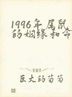 1996年属鼠的姻缘和命运