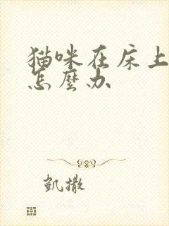 猫咪在床上乱尿怎么办封面