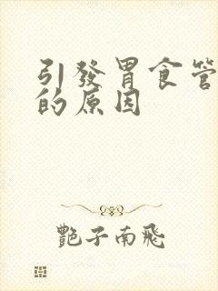 引发胃食管反流的原因