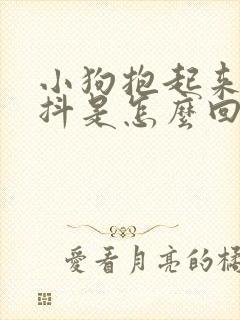 小狗抱起来会发抖是怎么回事