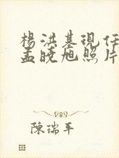 杨洪基现任老婆孟晓旭照片高清