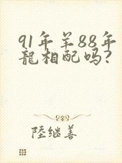 91年羊88年龙相配吗?