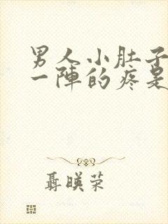 男人小肚子一阵一阵的疼是怎么回事封面