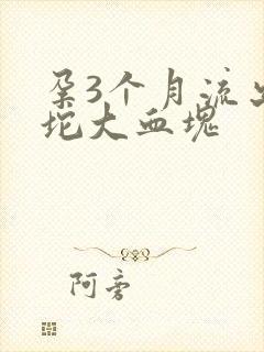 孕3个月流出一坨大血块