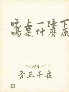 晚上一睡下就耳鸣是什么原因